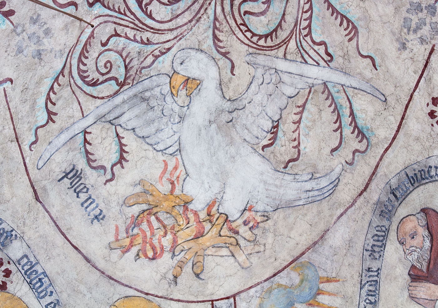 Fågel Fenix, symbol för Kristi död och uppståndelse, liksom för bland annat kyskheten hoppet och kyrkan - Danmarks kyrka